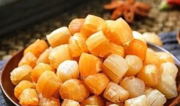 瑶柱是什么东西,探寻海味珍品背后的故事